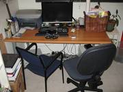 Office: File Cabinet,  Desk,  Printer,  Chairs,  Computer Screen