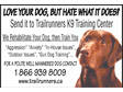 Love Your Dog,  But Hate What it Does?