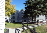 Newly Renovated Apartment with All Basic Amenities in Saskatoon